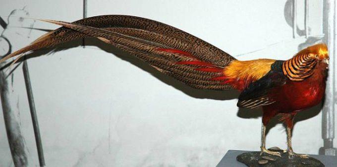 GCSE Biology Revision: Living Organisms | Superprof