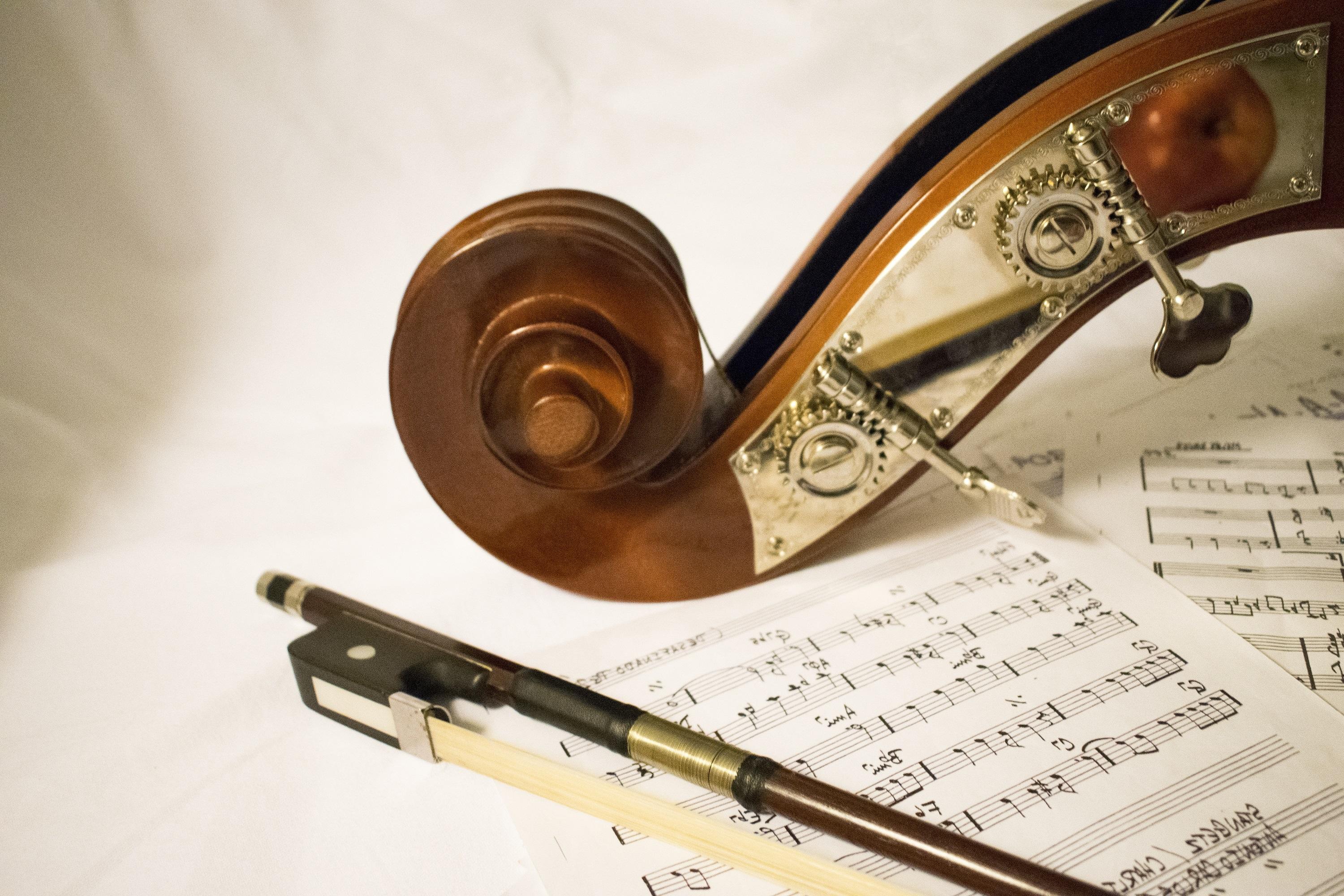 Violin Facts Everything You Need to Know About the Violin