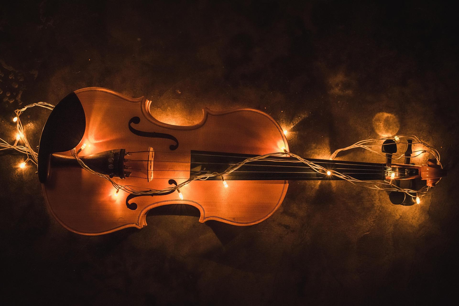 Taking Violin Lessons FAQs Superprof