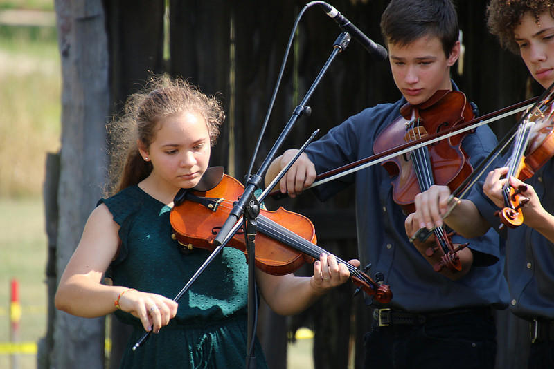 The Cost of Violin Lessons Superprof