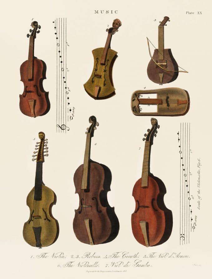The Violin Family Superprof