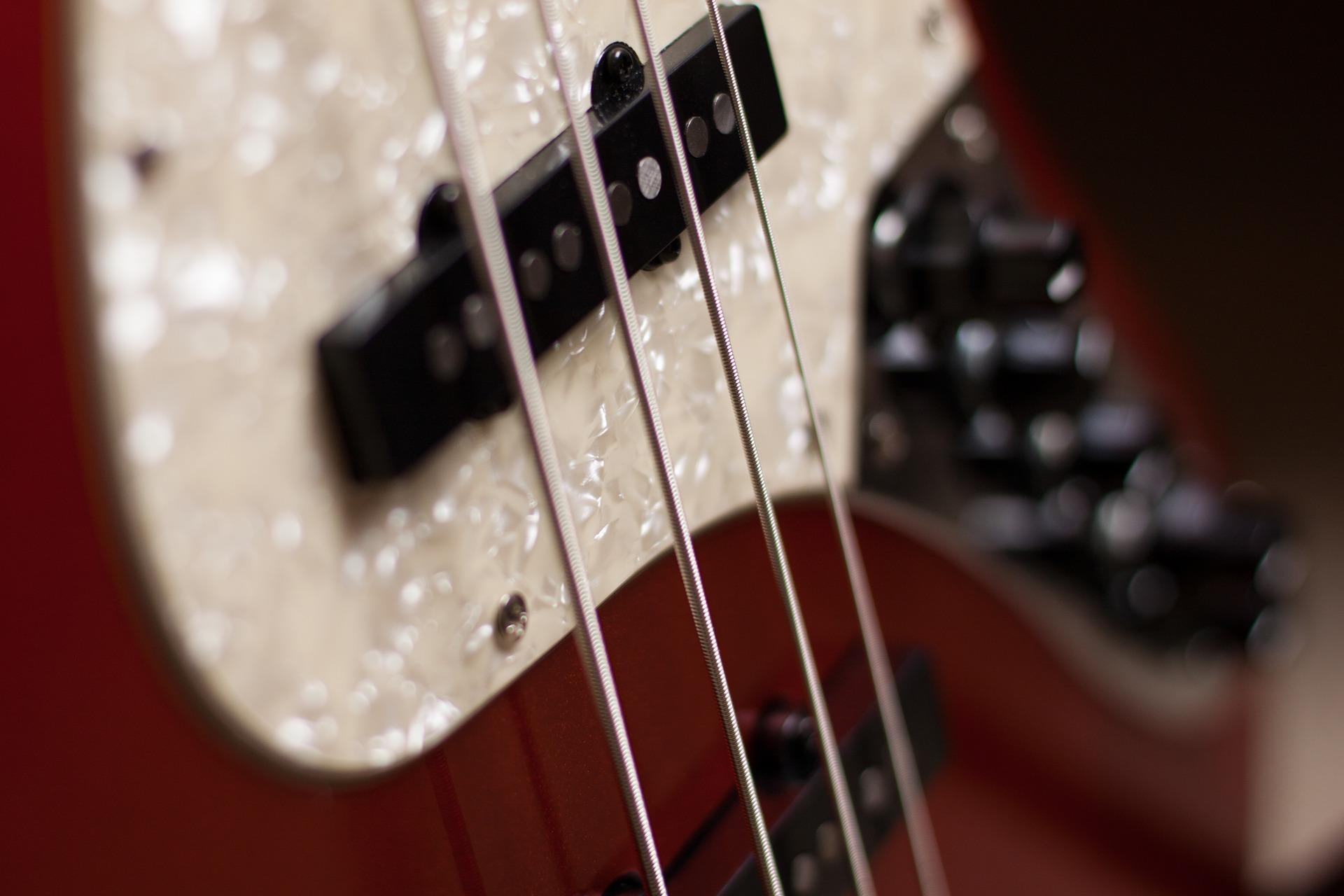 The Bass Guitar - Learn To Play Music Blog