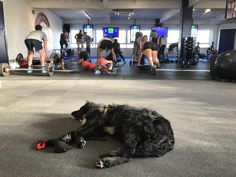 After you sign their contract, some gyms leave you to work out on your own