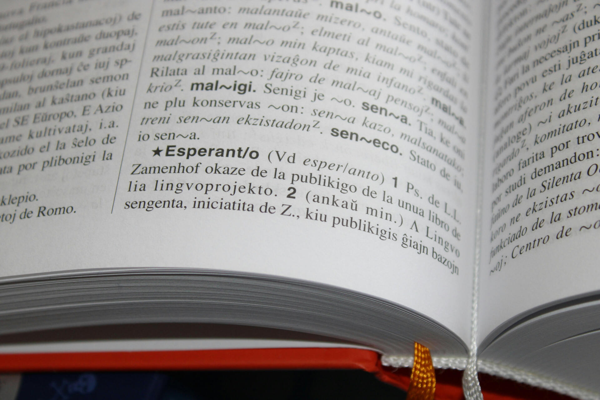 A page of a spanish dictionary or thesaurus 