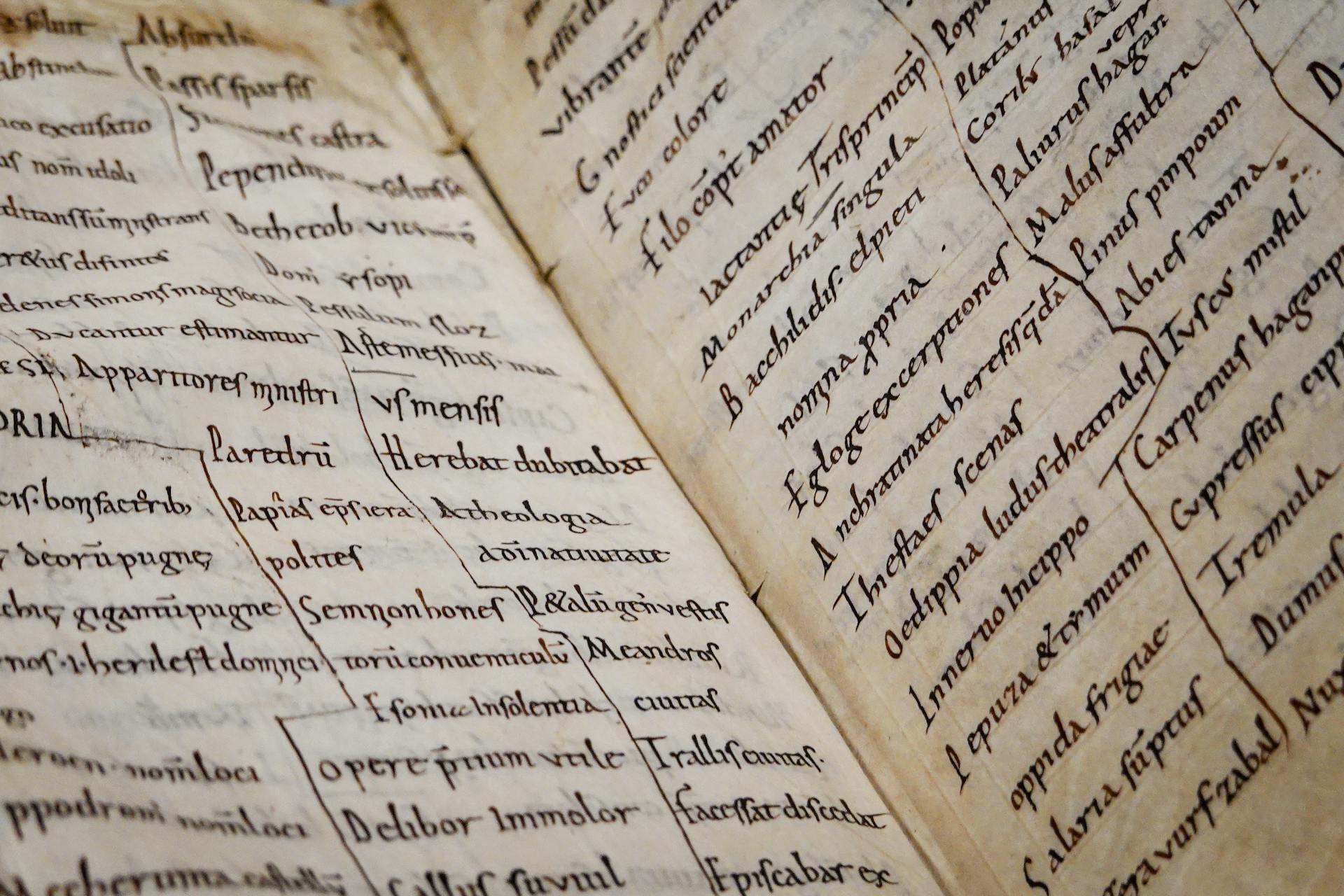 Latin text inside a book