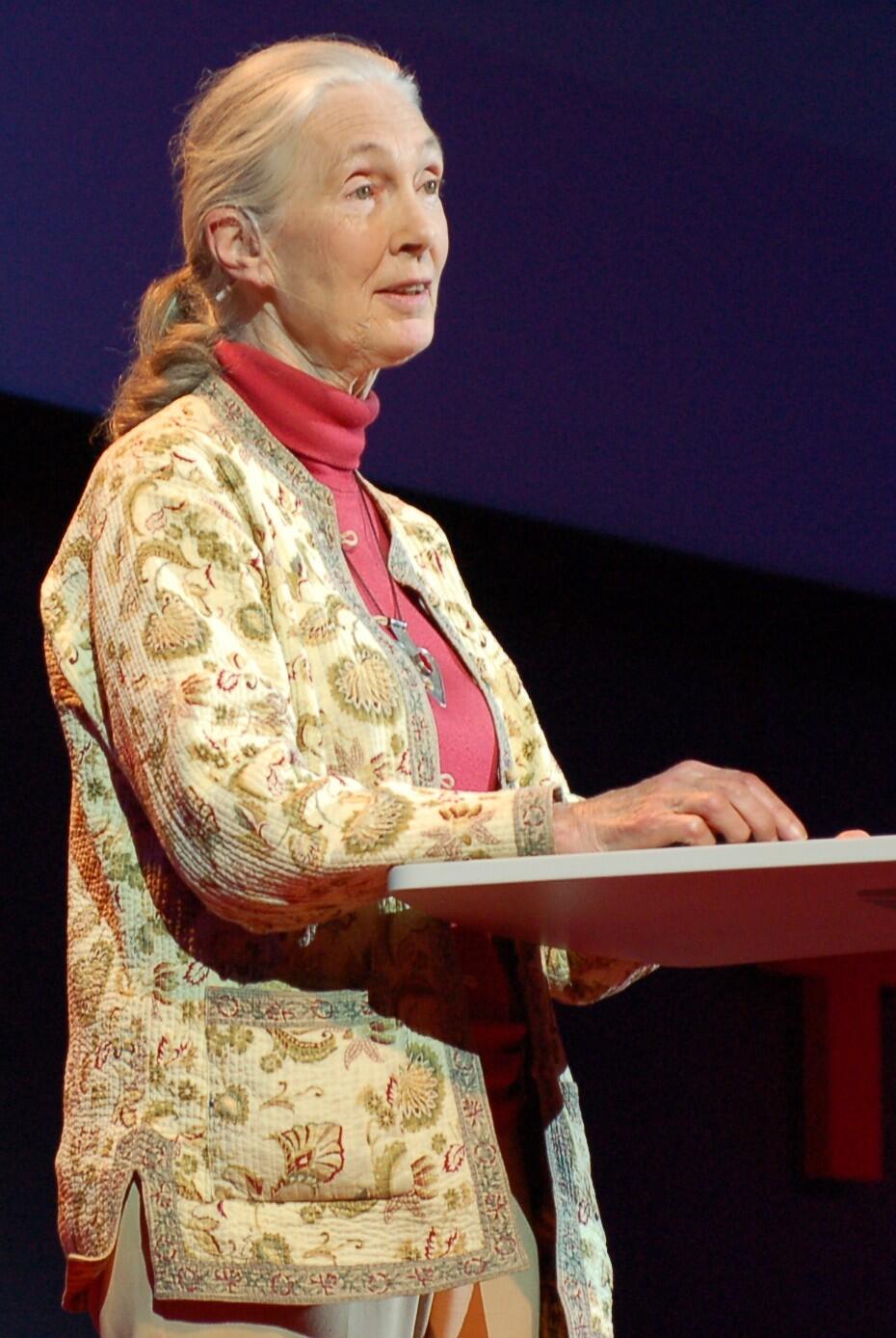 Jane Goodall speaking at a conference